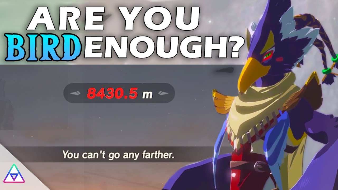 BotW Ultimate Bird-man Challenge & More! - YouTube