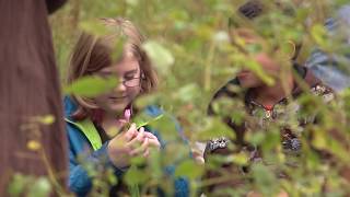 50 Years of Saving Nature