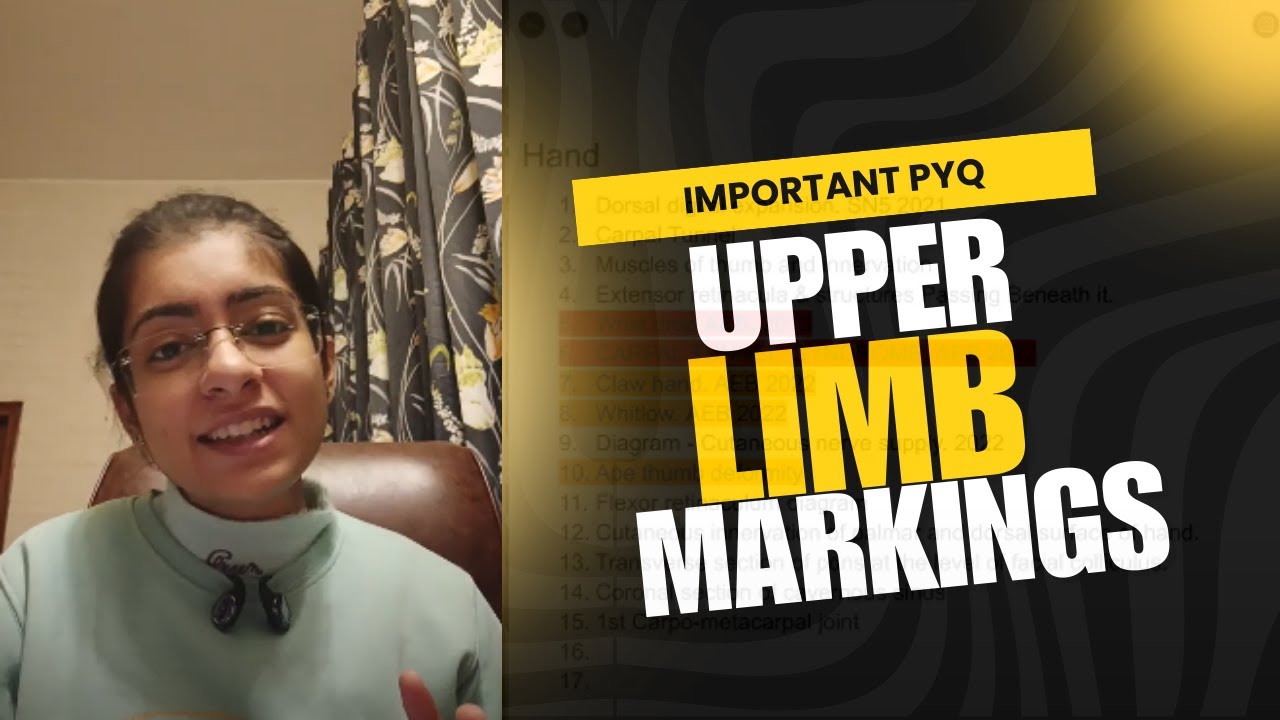 Анатомия верхних конечностей: важные темы для изучения | 1 курс MBBS | Анатомия (вопросы прошлых ...