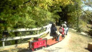 Pumpkin Patch 2010