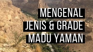Mengenal Jenis Madu Yaman Asli Dan Gradenya