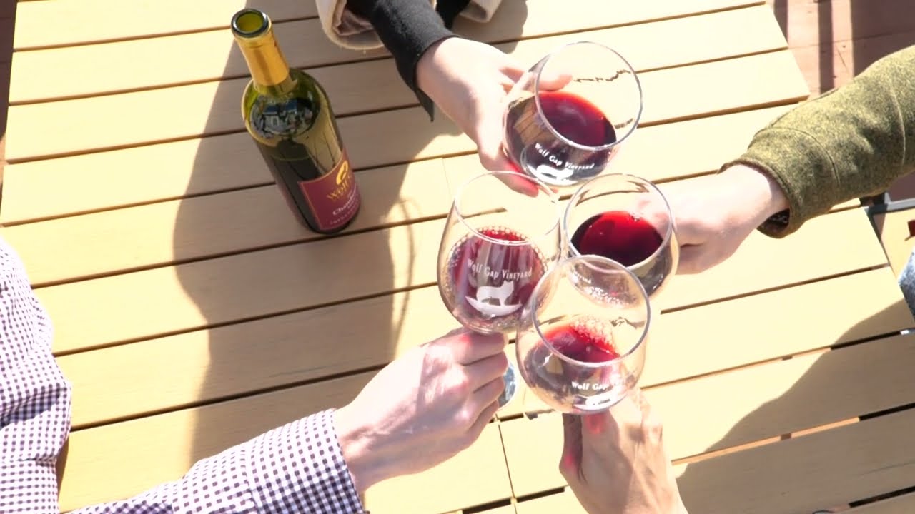 Wolf Gap Property in the Fall Drone Video