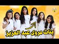 معلومات عن بنات مروى عبد العزيز معلومات عن بنات مروى عبد العزيز
