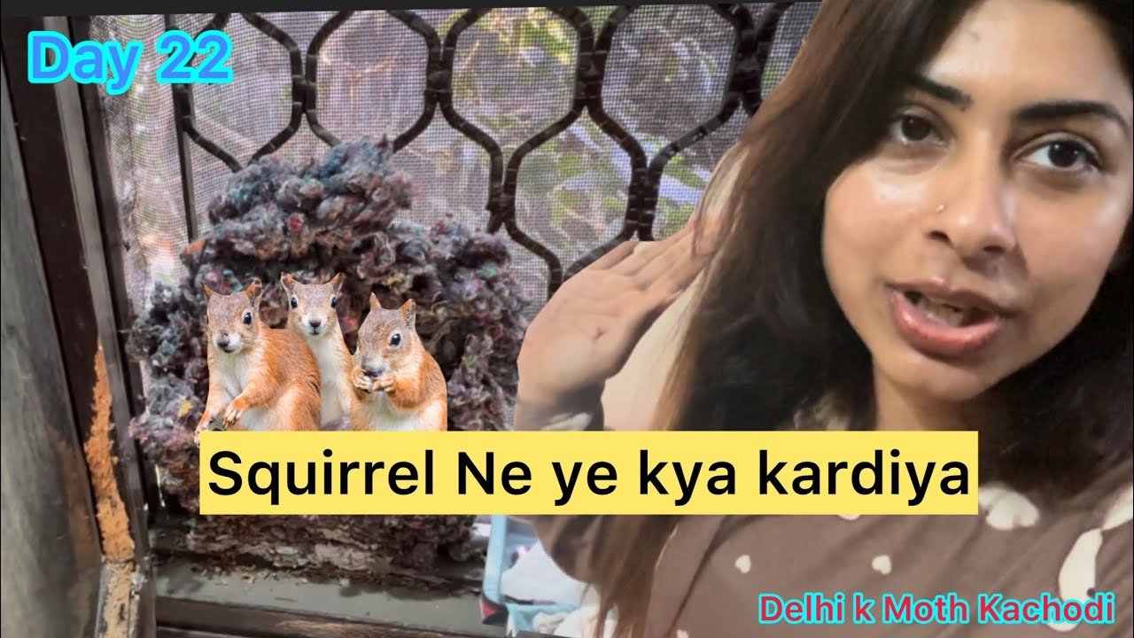 SQUIRREL 🐿️ ne yeh kya kardia?? Day 22 || UNFILTERED DAYS