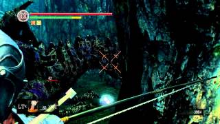 Dark Souls Stupid Undead Dragon Sequel