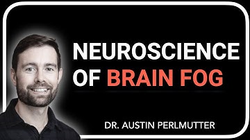 The Neuroscience of Brain Fog