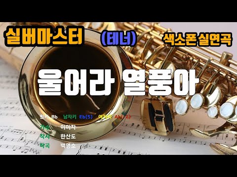 [은성 반주기] 울어라열풍아 - 이미자 노래/ MR / 가사 / 반주