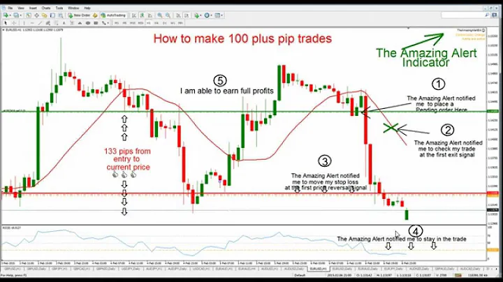 Make 100 pips each trade