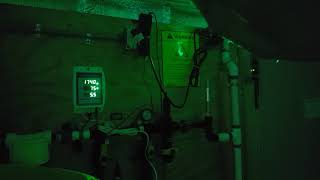 Will a green light affect my plants? screenshot 1