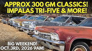 APPROX. 350 GM CLASSICS! 250 IMPALAS AT AUCTION!