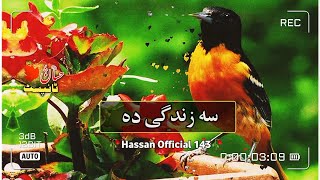 Pashto Sad Nazam II سہ می جوندون سہ زندگی دہ II Pashto Sad Status II Hassan Official 143