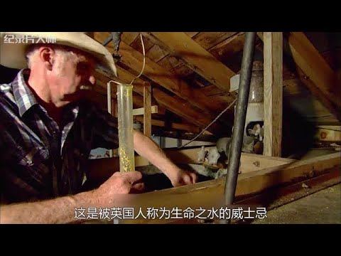 威士忌是怎么酿造的？首先要将玉米磨成粉末，再经过高温煮沸！ #纪录片  #威士忌 #制造原理  #酿造