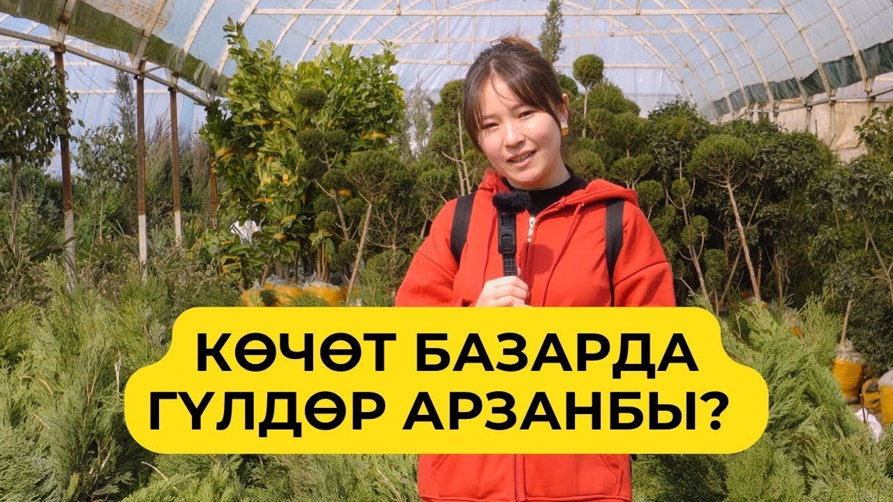Ош: КӨЧӨТ БАЗАРДАГЫ ГҮЛДӨРДҮ БААЛАРЫ КАНЧА?