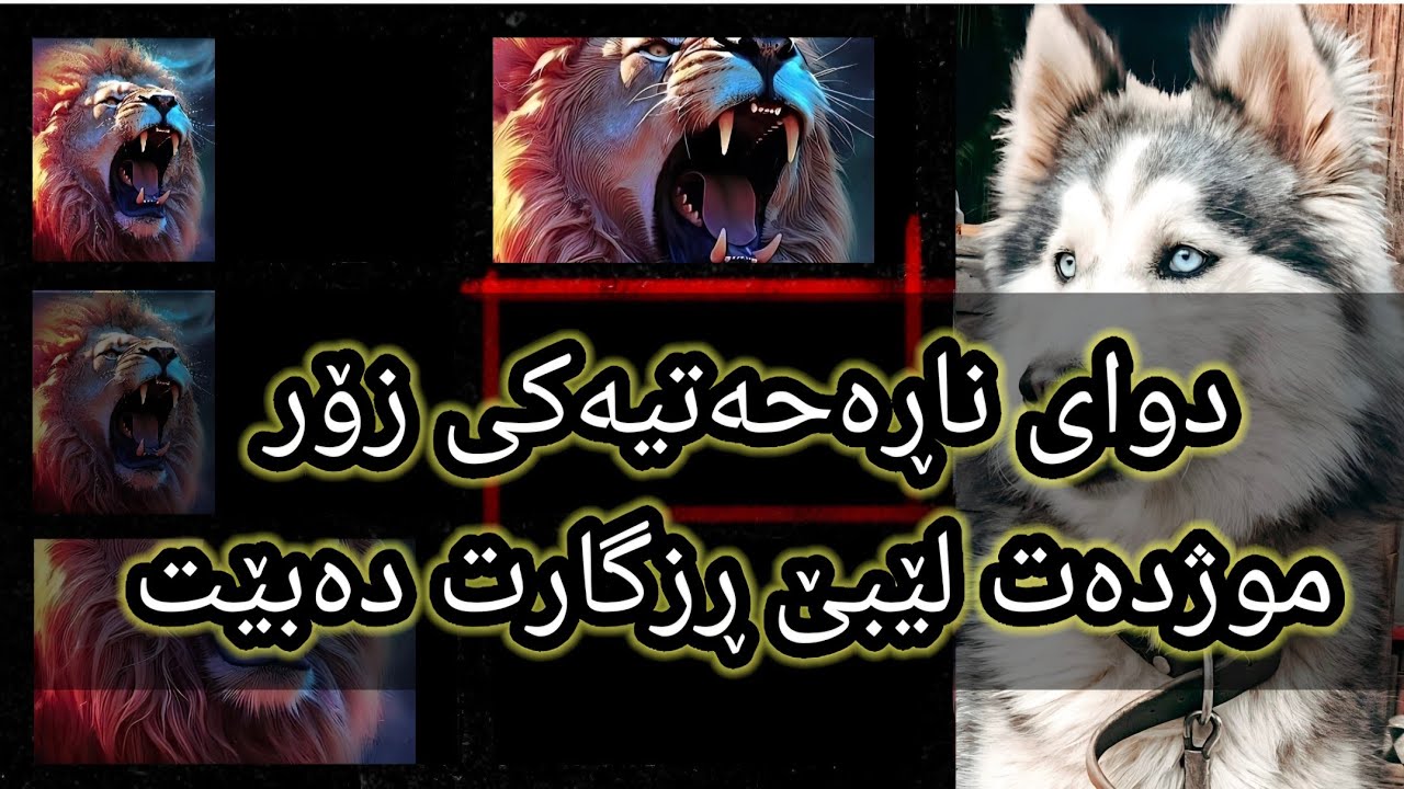 ئەم ٧ خەوە لە دوای نەهامەتی و ناڕەحەتی موژدەی زۆر خۆشیان تێدایە😱😱