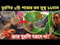 মুরগি ১২ মাস সুস্থ থাকবে ২টা পাতা খাওয়ান | Desi Murgi Palon | দেশি মুরগি পালন পদ্ধতি