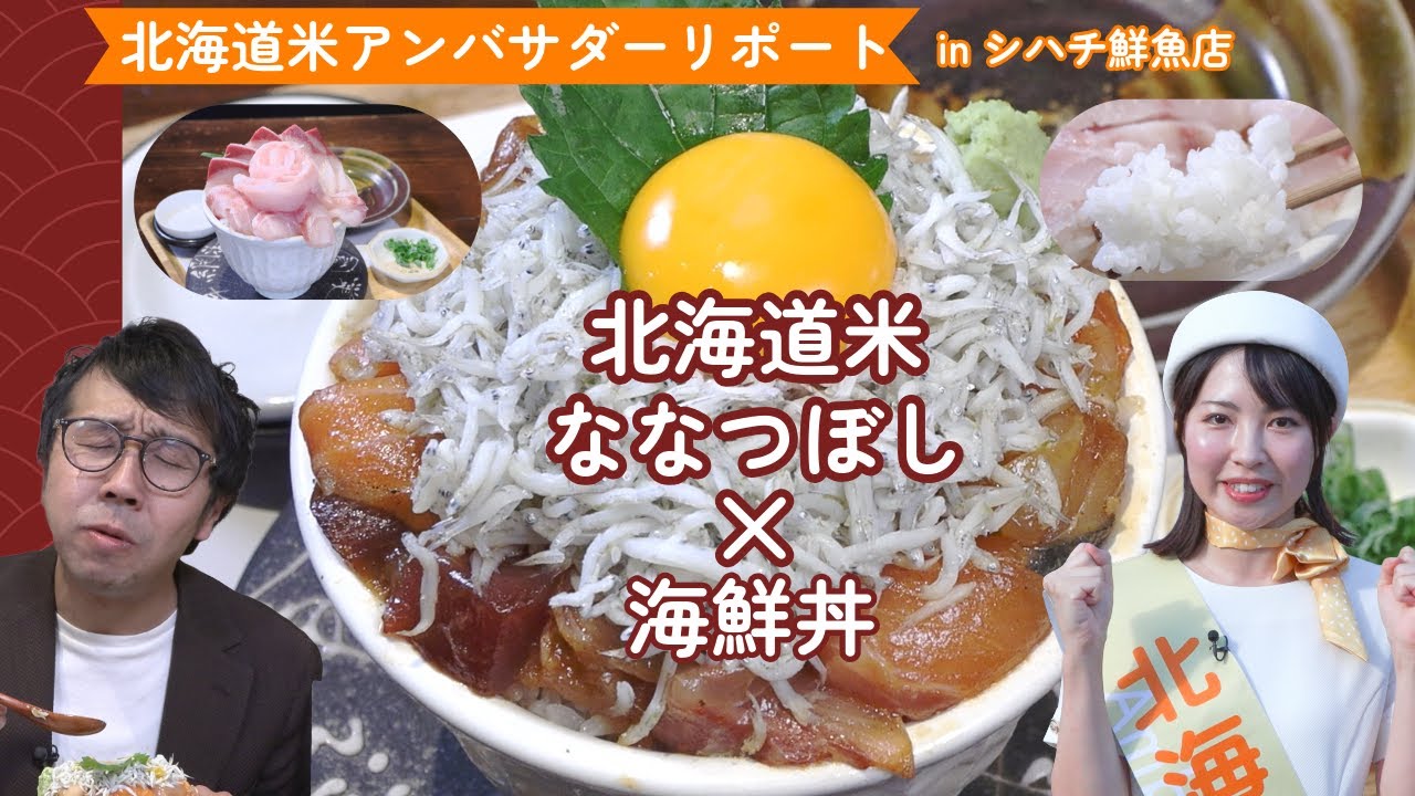 ZIP!】シハチ鮮魚店の鮮魚13種丼が話題！札幌海鮮丼の名店・北24条