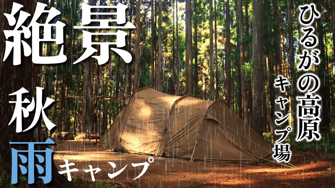 Camping in Rain with my dog, Relaxing in a Forest,bushcraft