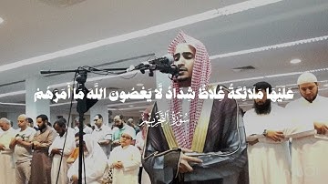 تلاوة للشيخ بندر آل يسر | ما تيسر من سورة التحريم | تلاوة مرئية خاشعة