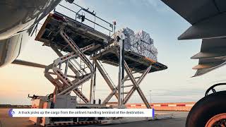 Air freight shipping in the United States - Sky Bridge with DOF Logistics