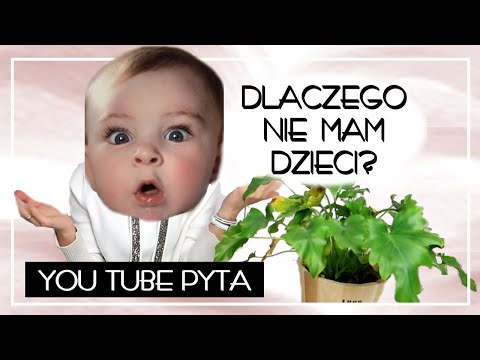 Wideo: Meksykański Aktor Nie Chce Dzieci