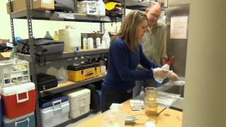 09 CSLAP Filtered Sample Processing