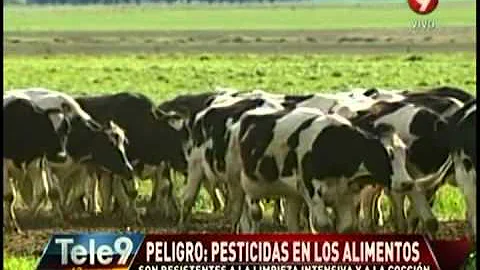 ¿Qué pasa si comes alimentos con pesticidas?