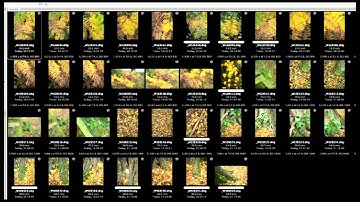 Mastering Advanced Saturation Control