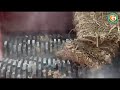 4-5 TPH Twin Shaft Shredder Machine: In-house Testing on Paddy Straw by Goyum Group - India