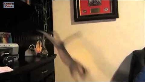 Cat Jump Fail compilation with Music: Sail by AWOLNATION