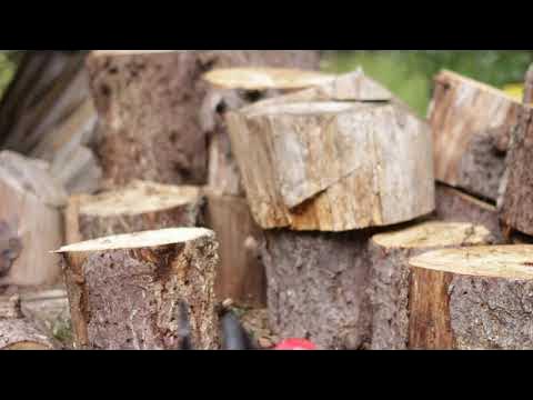 Moottorisahojen Stihl 194c ja Shindaiwa 352 testailua #stihl #shindaiwa