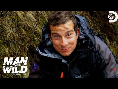 Bear Grylls