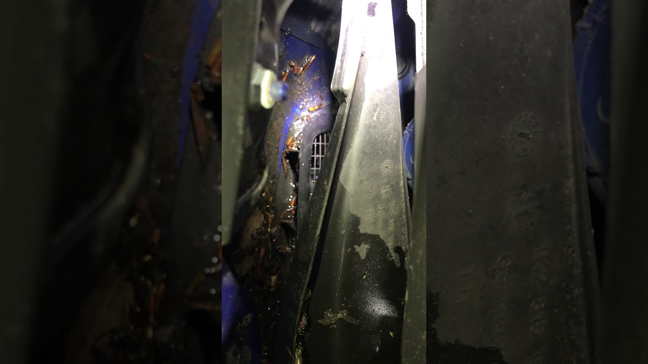 VW Golf Water Leak From Front Scuttle YouTube