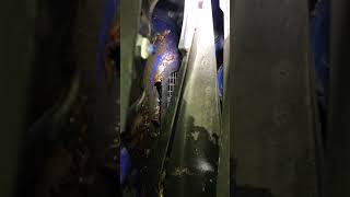 VW Golf Water Leak From Front Scuttle