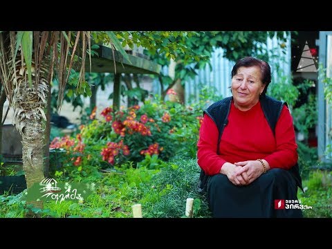 #არტიშოკი ლანჩხუთელი ნარგიზა კილაძის აწყობილი მცირე მეურნეობა და შობა-ახალი წელი გურული აქცენტით