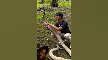 You are not afraid of snakes 💀 #shorts #ytshorts #snake