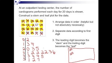 Time Series Graphs & Stem and Leaf Plots