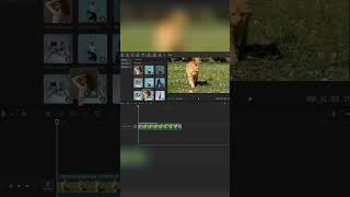 Master Pixel Screen Effects in CapCut PC