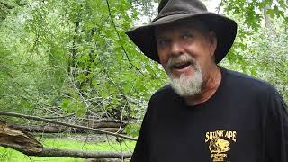 Interview with Skunk Ape Researcher David Shealy