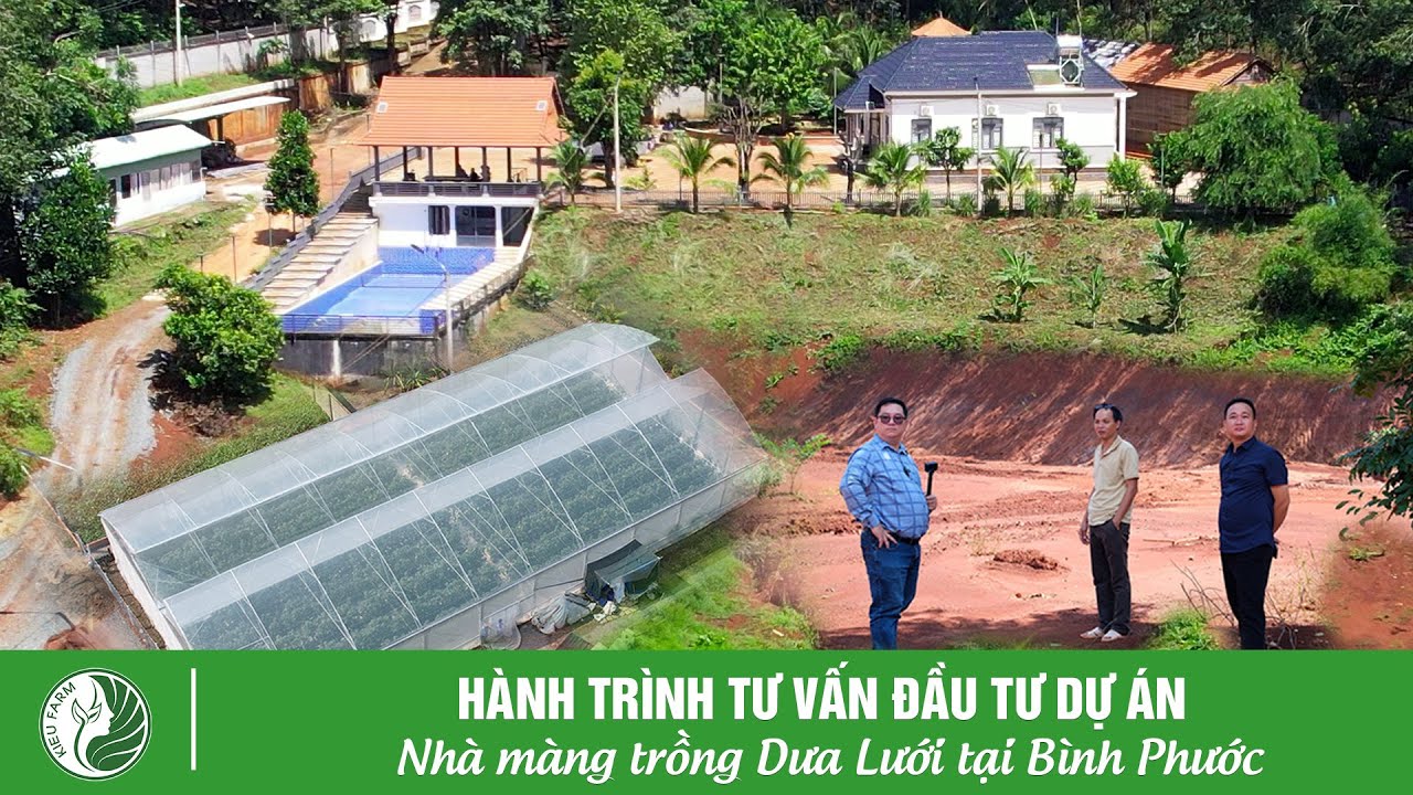Hành trình tư vấn đầu tư dự án nhà màng trồng Dưa Lưới tại Bình Phước | Ninh Dưa Lưới