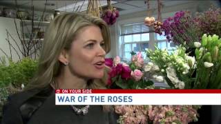 Valentine’s Day: War of the Roses