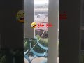الفرغه تعب 