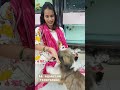 Dog Loves| Pets shop in ahmedabad| #a4aquarium #dogs #viralshort #pets