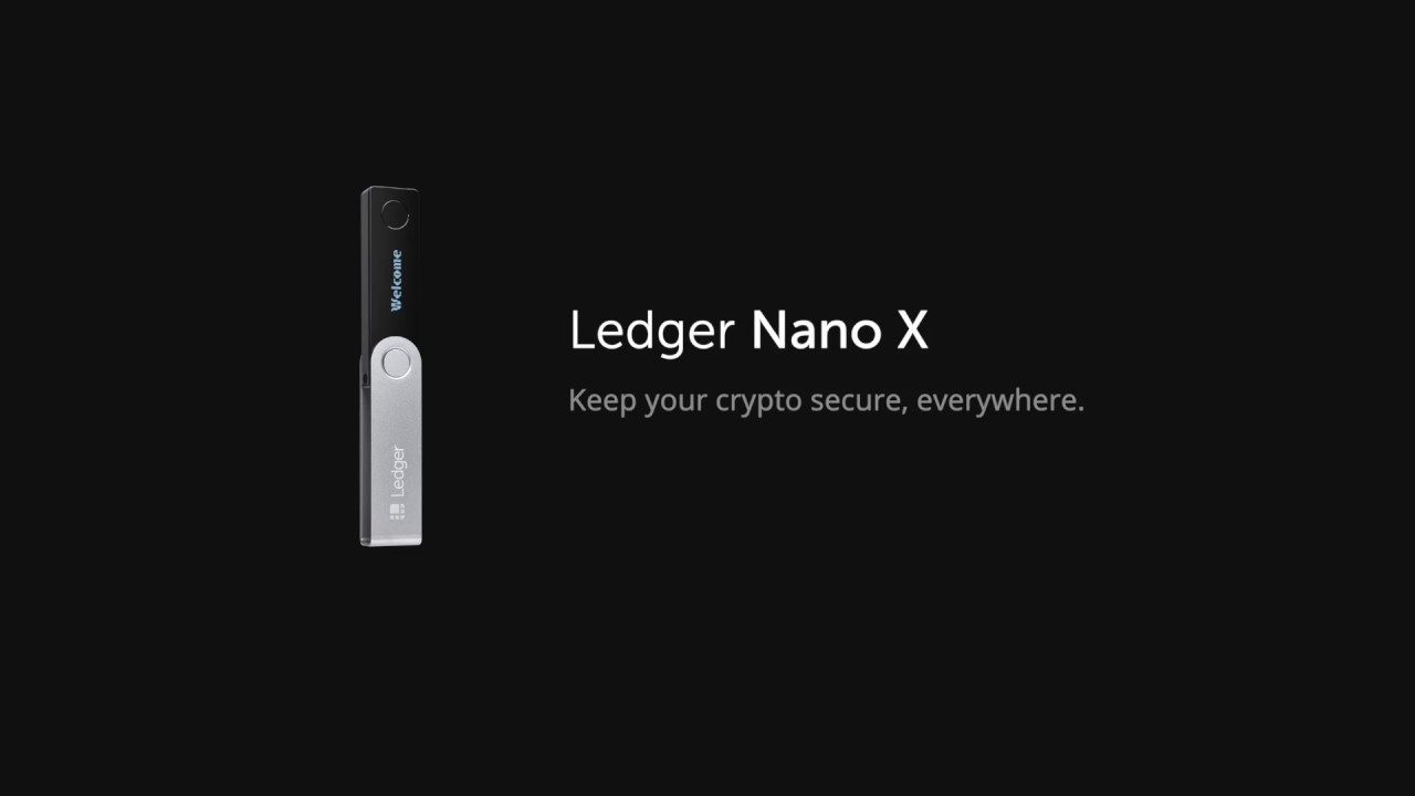 Nano X Crypto Bornet Review