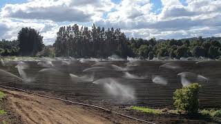 Sistema de Riego por Cobertura Total PPP