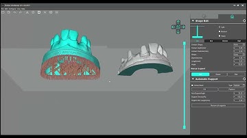 Nesting of models from VarseoWax Model with the nesting software "Photon Workshop"