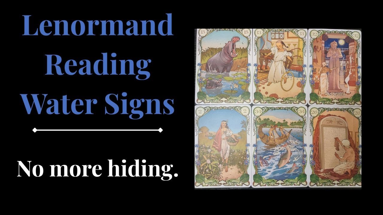 Lenormand Reading(water signs)/Mid Jan 2026: Focusing on the right type of security.