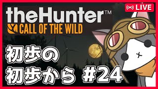 【thehunter:COTW】#24 じっくりウィークリィ('ω')【Vtuber】