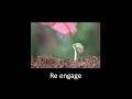 user img