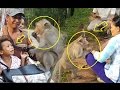 monkey grabbing lutos fruit from beautiful girl, Baby girl scared monkeys