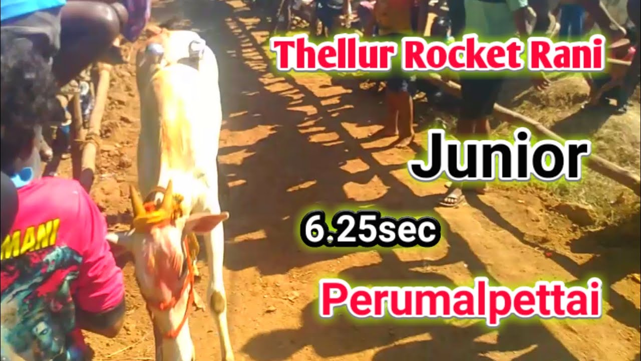 Thellur Rocket Rani junior 6.25sec|perumalpettai street |@TAMIZHROCK 